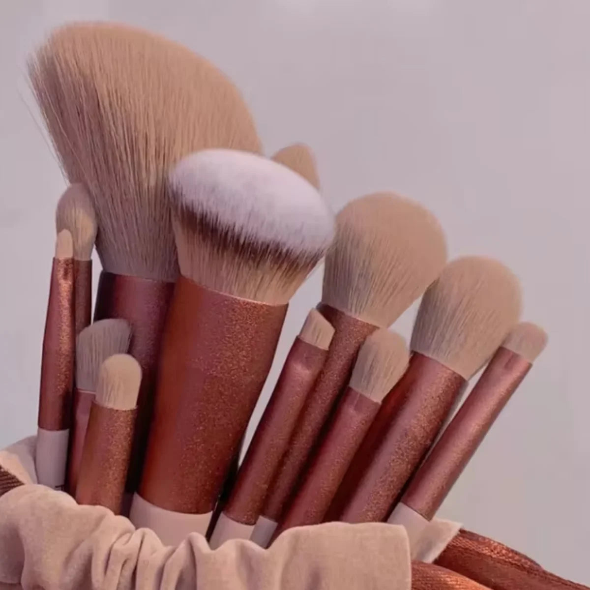 13 PCS  Makeup Brushes Set